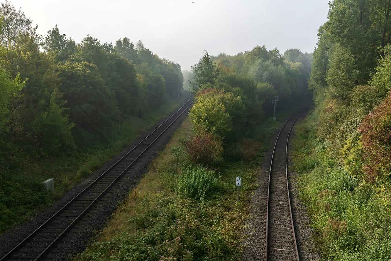 Two railway tracks splitting apart as they run into a green forest