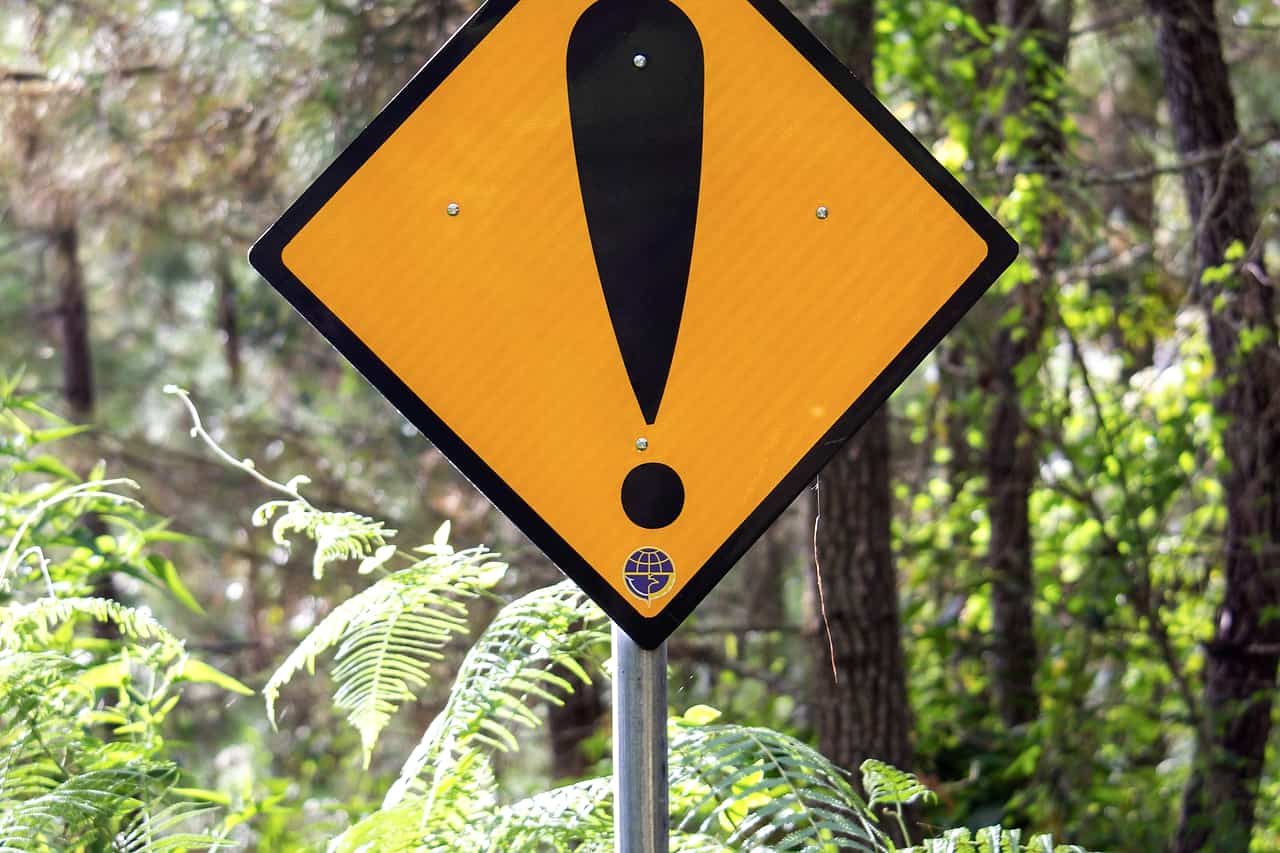 A yellow diamond warning sign with an exclamation mark beside a forest road
