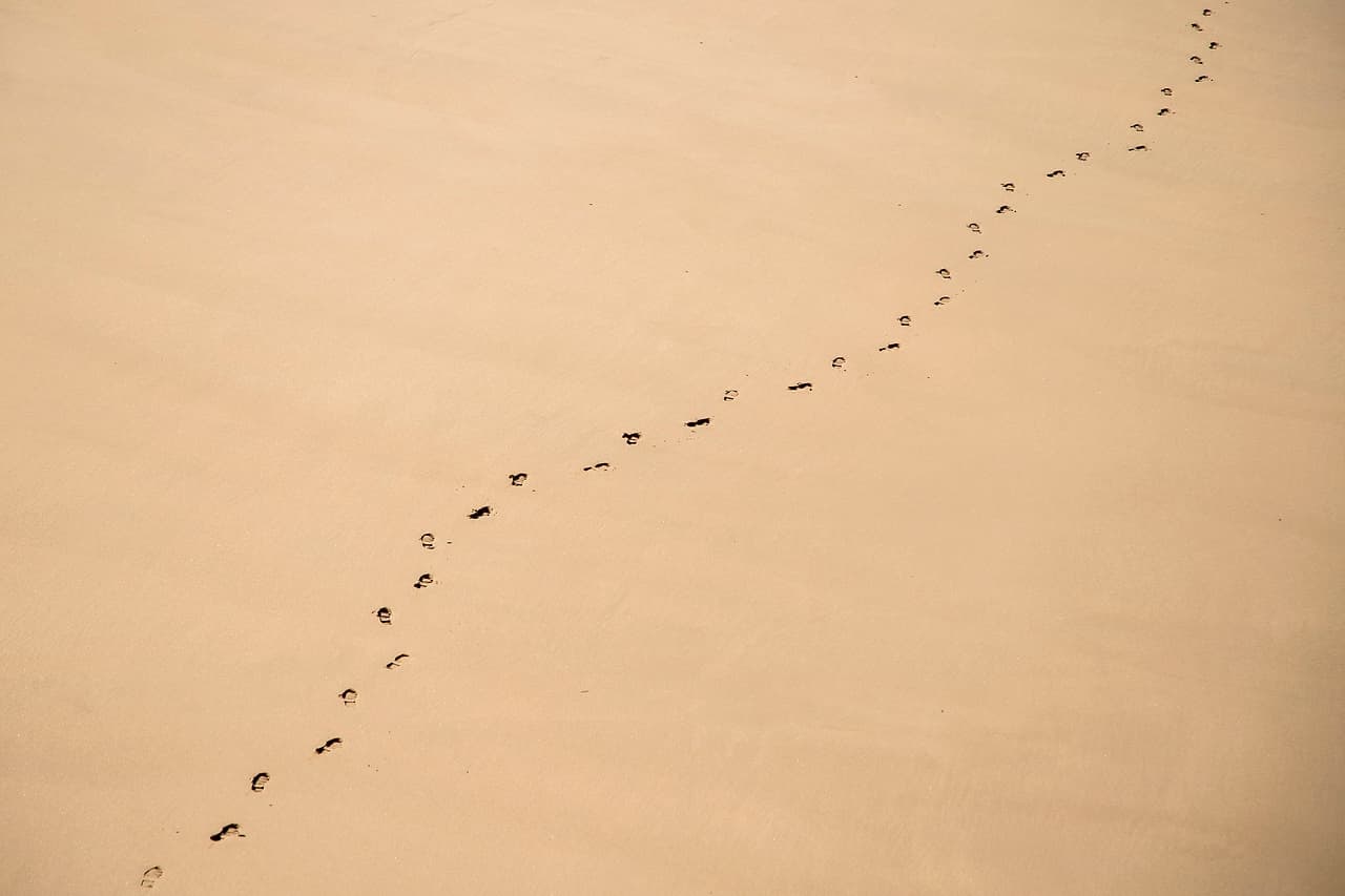 An aerial view of a single trail of footprints across smooth sand