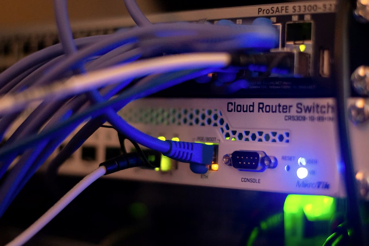 Ethernet cables plugged into the ports of a network switch