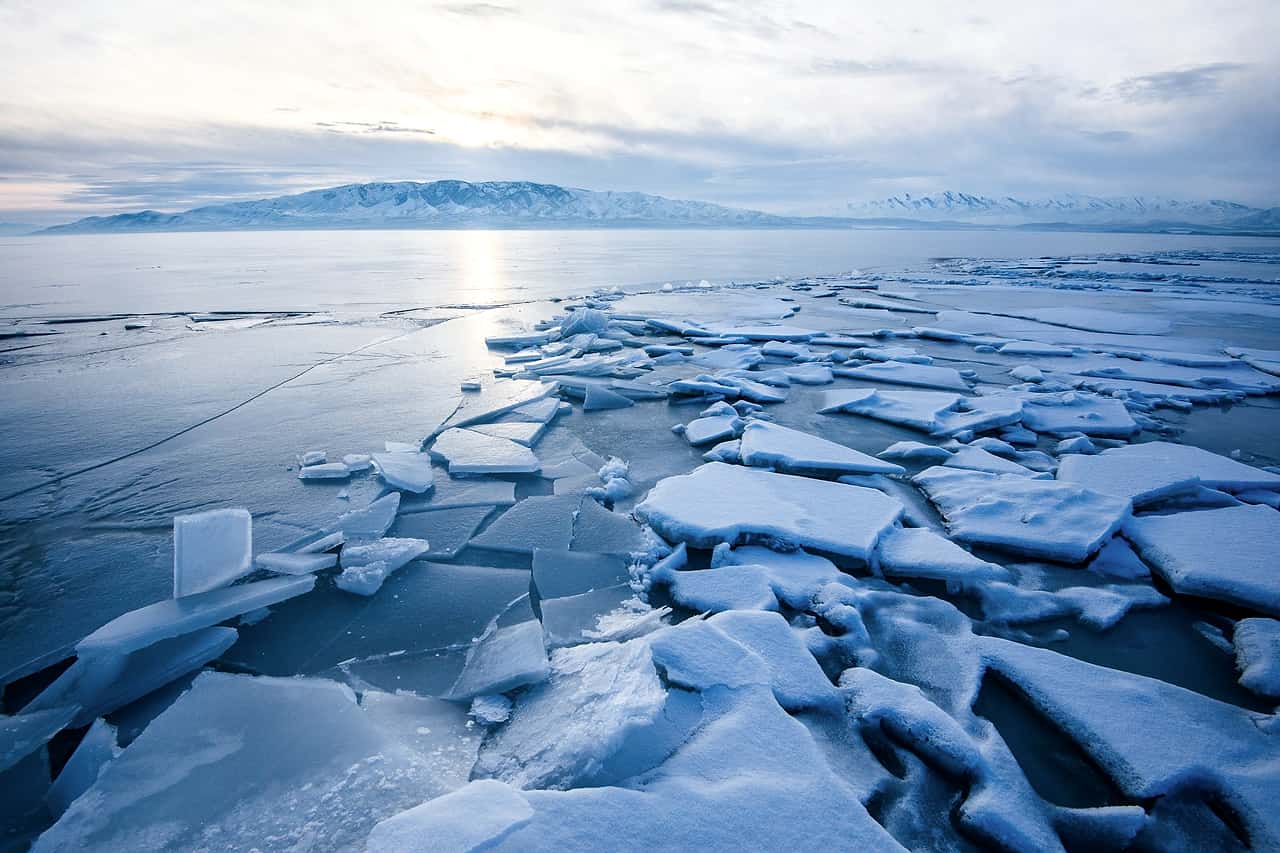 Broken plates of sea ice floating near a frozen shore
