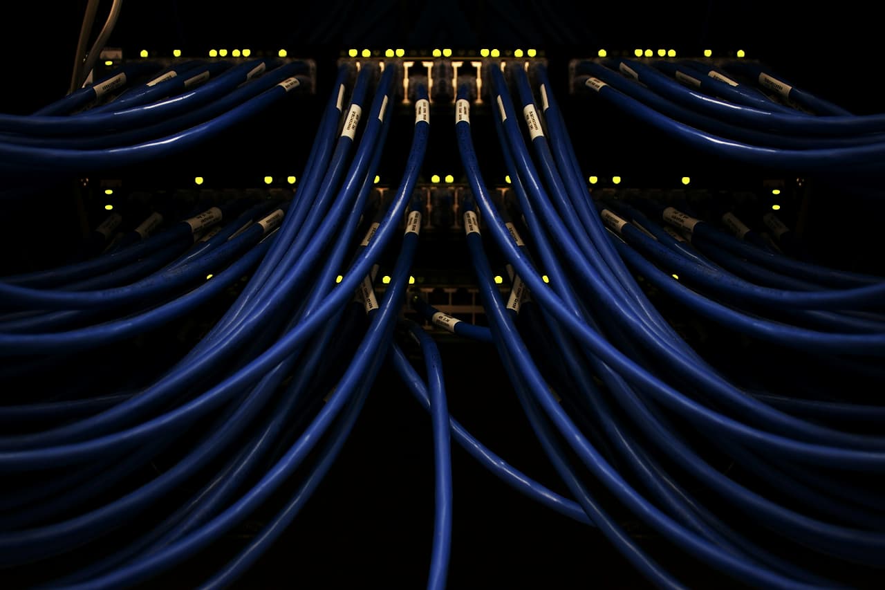 Many blue network cables plugged in side by side
